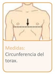 Circunferencia