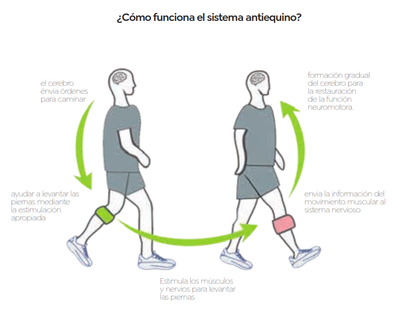 Antiequino_neuroprotesico_funcionamiento